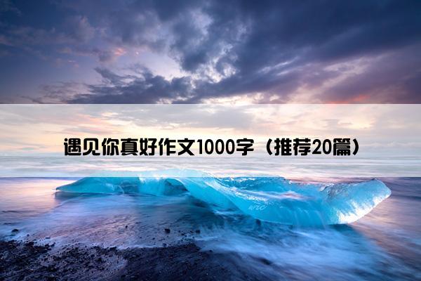 遇见你真好作文1000字（推荐20篇）