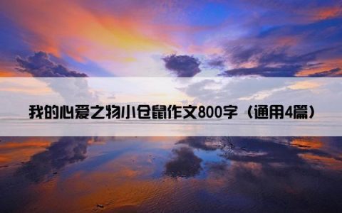 我的心爱之物小仓鼠作文800字（通用4篇）