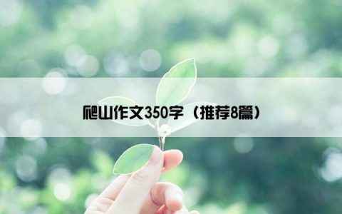 爬山作文350字（推荐8篇）
