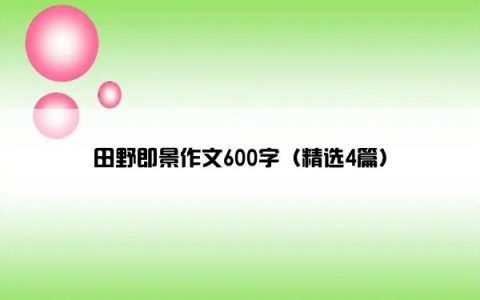 田野即景作文600字（精选4篇）