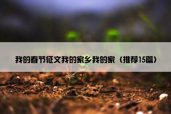 我的春节征文我的家乡我的家（推荐15篇）