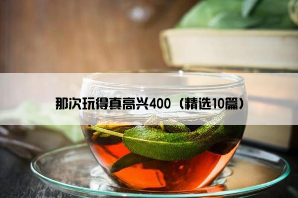 那次玩得真高兴400（精选10篇）