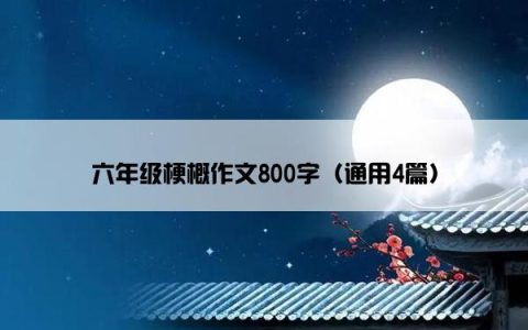 六年级梗概作文800字（通用4篇）