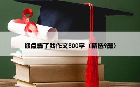 你点燃了我作文800字（精选9篇）