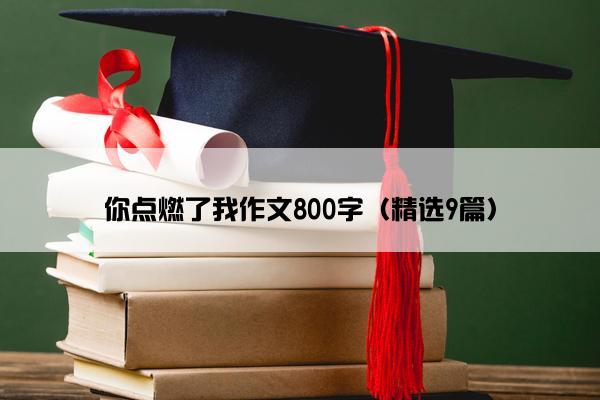 你点燃了我作文800字（精选9篇）