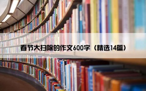 春节大扫除的作文600字（精选14篇）