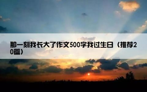 那一刻我长大了作文500字我过生日（推荐20篇）