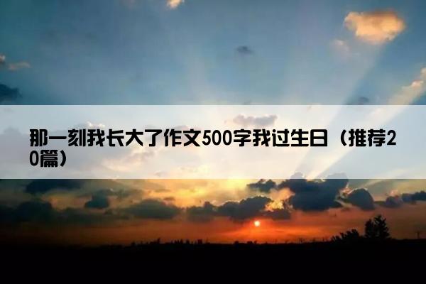 那一刻我长大了作文500字我过生日（推荐20篇）