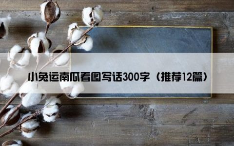 小兔运南瓜看图写话300字（推荐12篇）