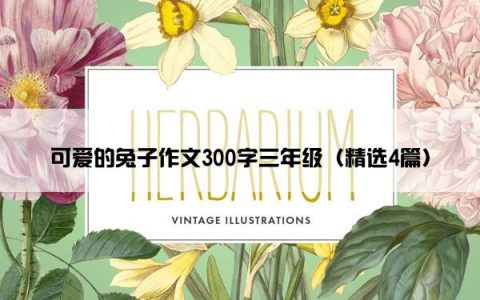 可爱的兔子作文300字三年级（精选4篇）