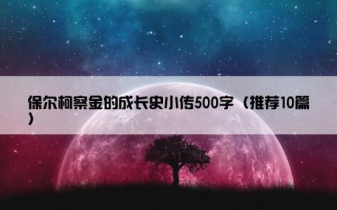 保尔柯察金的成长史小传500字（推荐10篇）