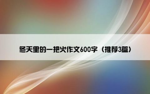 冬天里的一把火作文600字（推荐3篇）