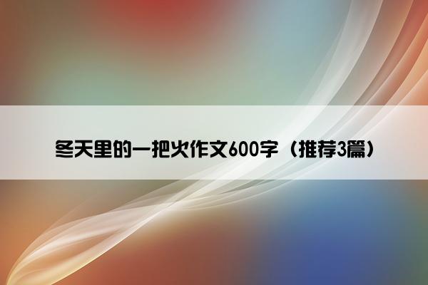 冬天里的一把火作文600字（推荐3篇）