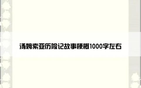 汤姆索亚历险记故事梗概1000字左右