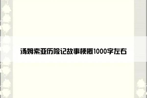 汤姆索亚历险记故事梗概1000字左右