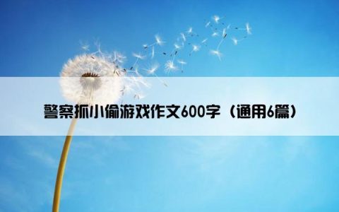 警察抓小偷游戏作文600字（通用6篇）