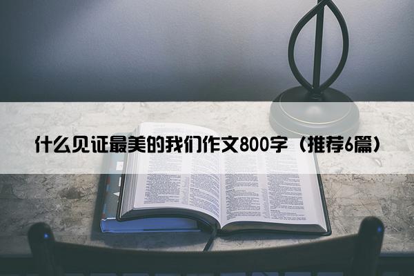 什么见证最美的我们作文800字（推荐6篇）