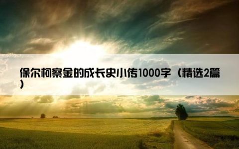 保尔柯察金的成长史小传1000字（精选2篇）