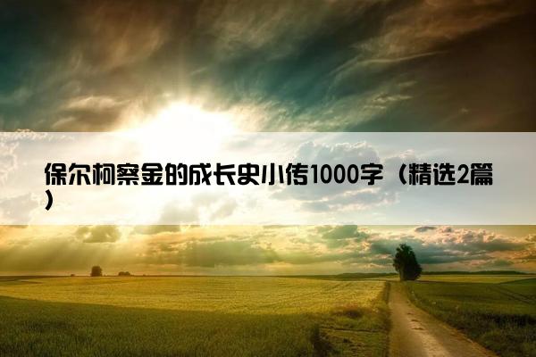 保尔柯察金的成长史小传1000字（精选2篇）