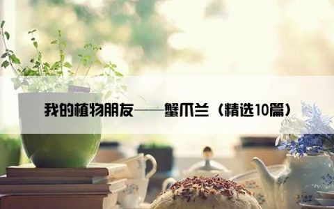 我的植物朋友——蟹爪兰（精选10篇）