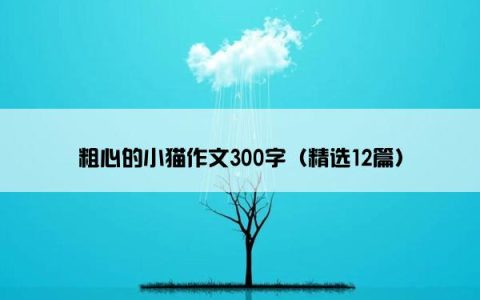 粗心的小猫作文300字（精选12篇）