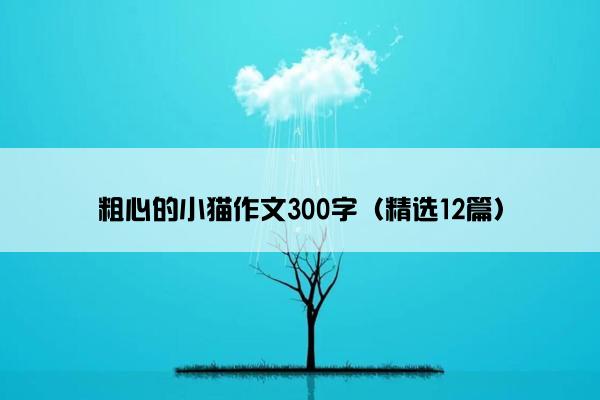 粗心的小猫作文300字（精选12篇）