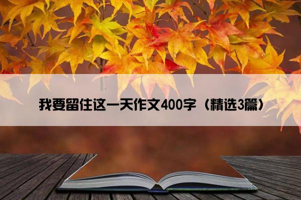 我要留住这一天作文400字（精选3篇）