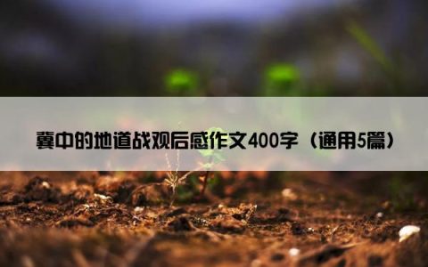 冀中的地道战观后感作文400字（通用5篇）