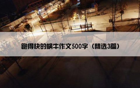 跑得快的蜗牛作文500字（精选3篇）