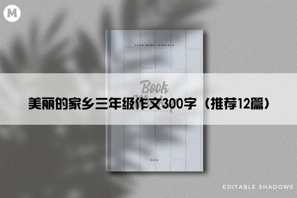 美丽的家乡三年级作文300字（推荐12篇）