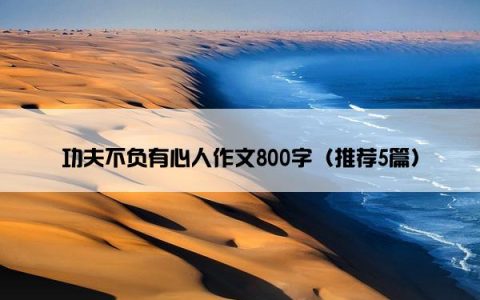 功夫不负有心人作文800字（推荐5篇）