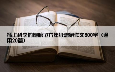 插上科学的翅膀飞六年级想象作文800字（通用20篇）