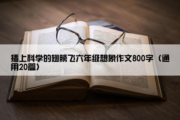 插上科学的翅膀飞六年级想象作文800字（通用20篇）