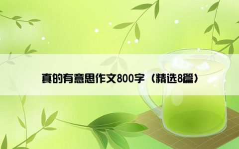 真的有意思作文800字（精选8篇）