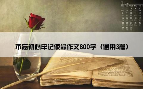 不忘初心牢记使命作文800字（通用3篇）