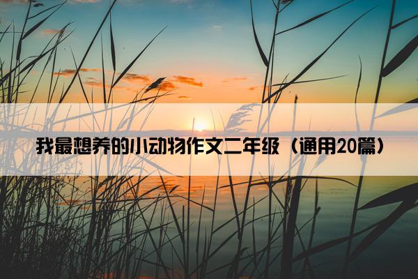 我最想养的小动物作文二年级（通用20篇）