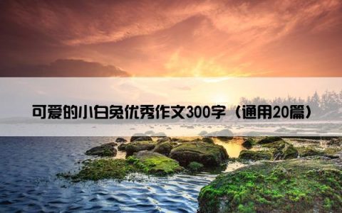 可爱的小白兔优秀作文300字（通用20篇）