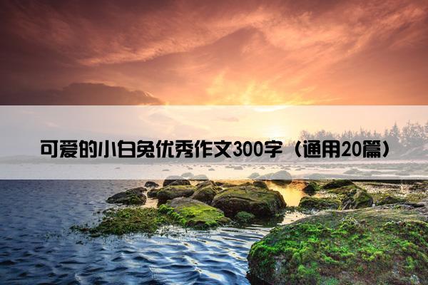 可爱的小白兔优秀作文300字（通用20篇）