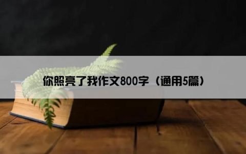 你照亮了我作文800字（通用5篇）