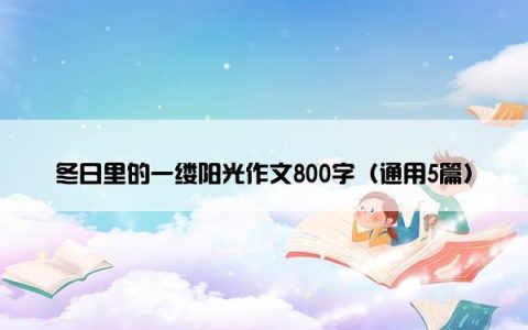 冬日里的一缕阳光作文800字（通用5篇）