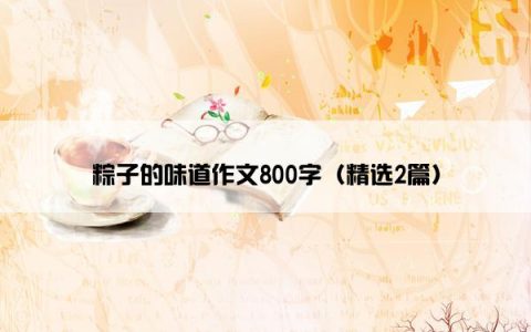 粽子的味道作文800字（精选2篇）