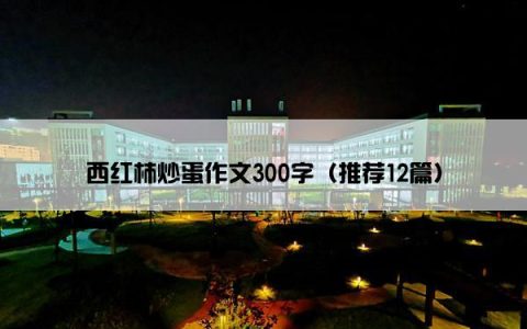 西红柿炒蛋作文300字（推荐12篇）