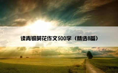 读青铜葵花作文500字（精选8篇）
