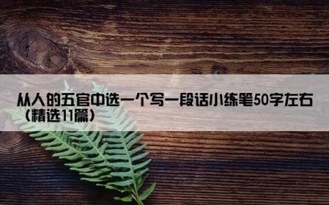从人的五官中选一个写一段话小练笔50字左右（精选11篇）