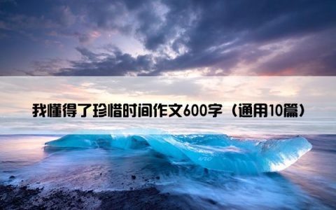 我懂得了珍惜时间作文600字（通用10篇）