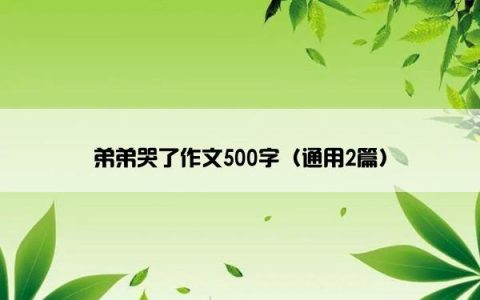 弟弟哭了作文500字（通用2篇）