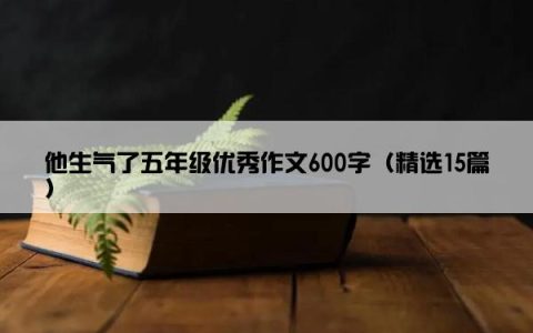他生气了五年级优秀作文600字（精选15篇）