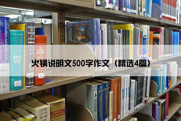 火锅说明文500字作文（精选4篇）