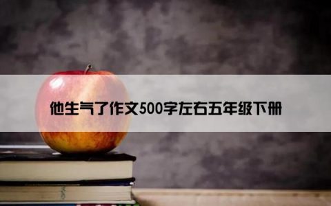 他生气了作文500字左右五年级下册