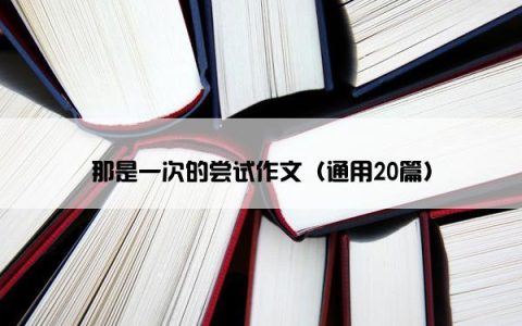 那是一次的尝试作文（通用20篇）